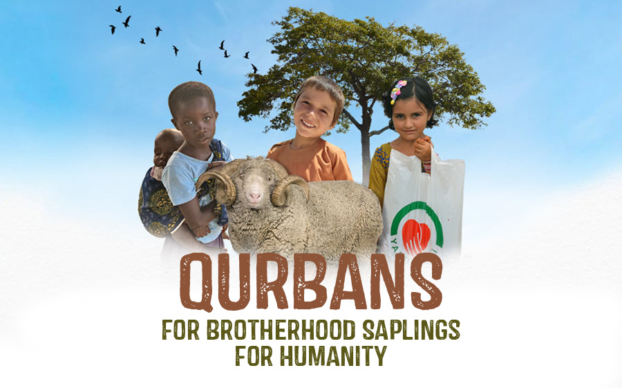 Qurbans For Brotherhood Saplings For Humanity